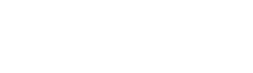 The Cinema Foundation